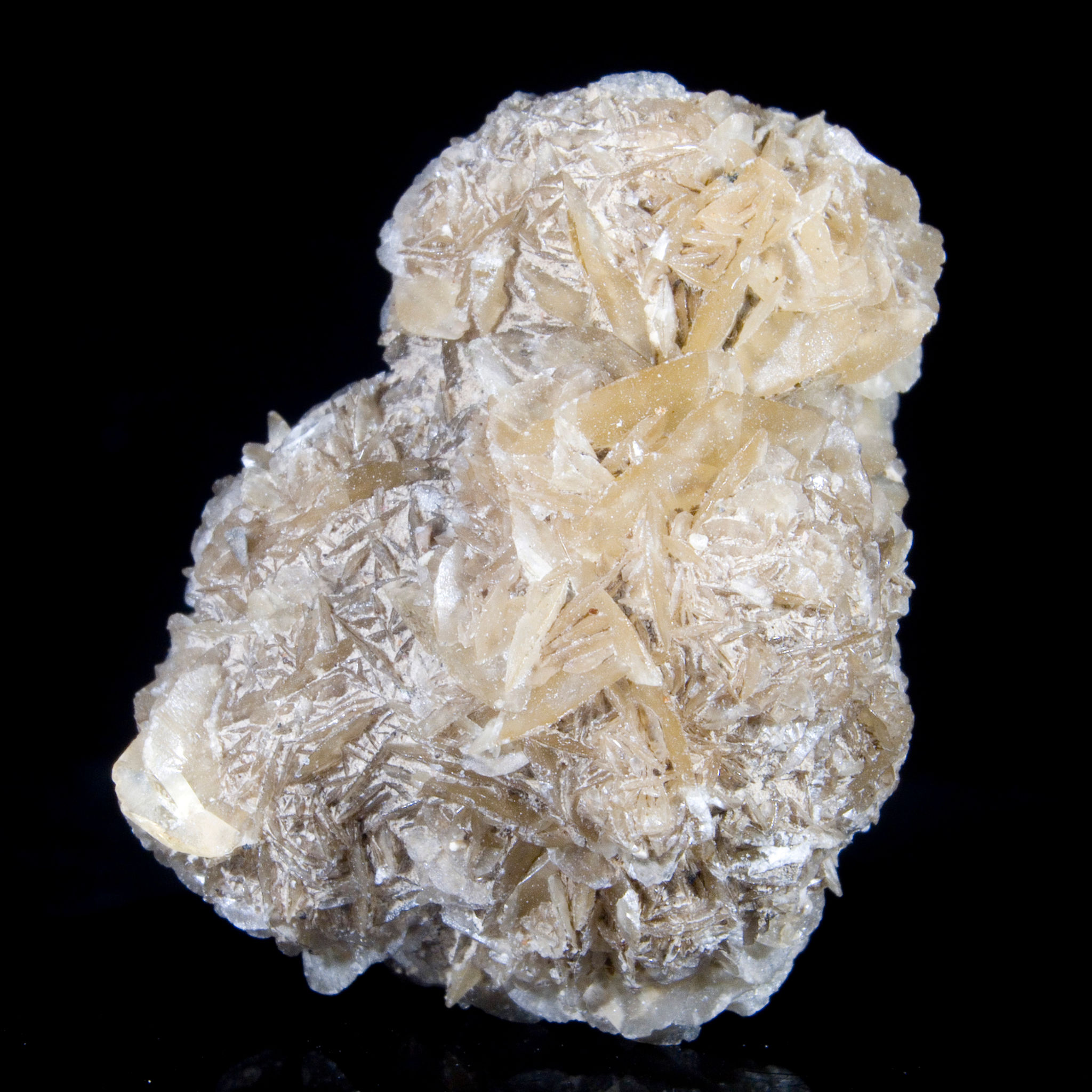 Gypsum var. Selenite - Red River Floodway, Canada - Studio Mineralia Earth Art Gallery