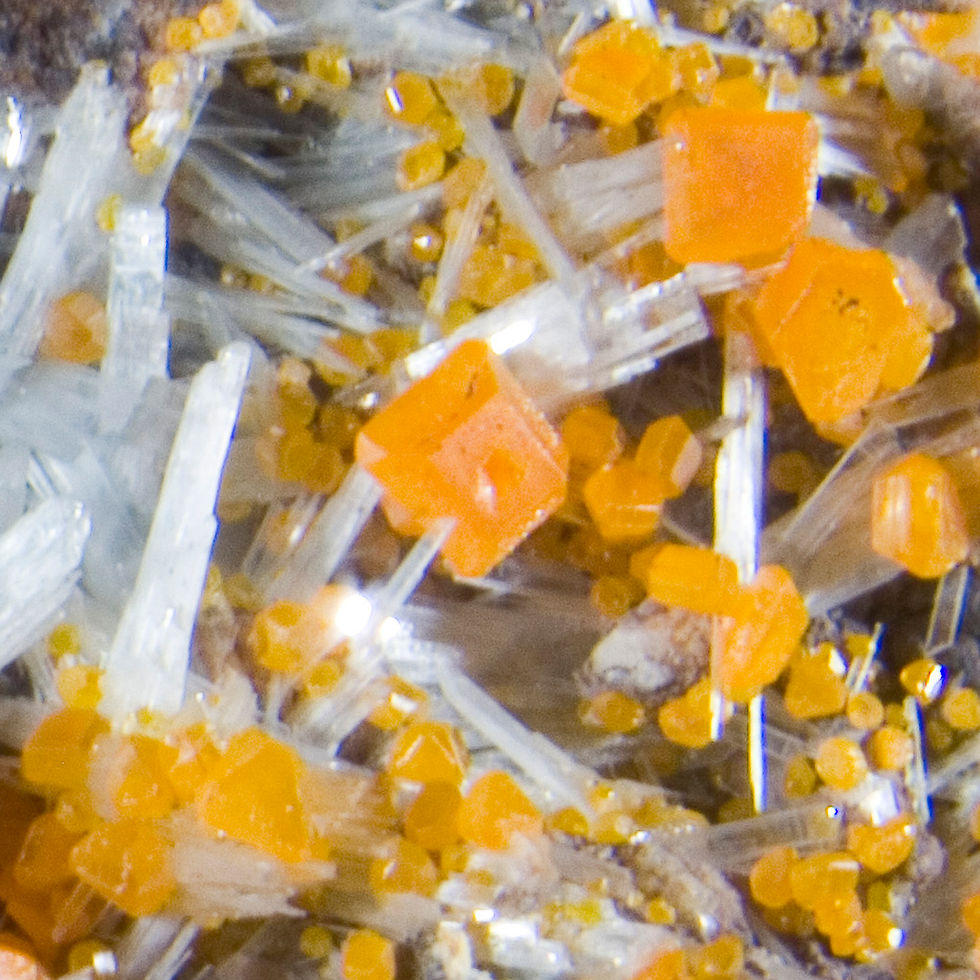 Thumbnail: Wulfenite and Barite - Xicheng Mine, China - Studio Mineralia Earth Art Gallery