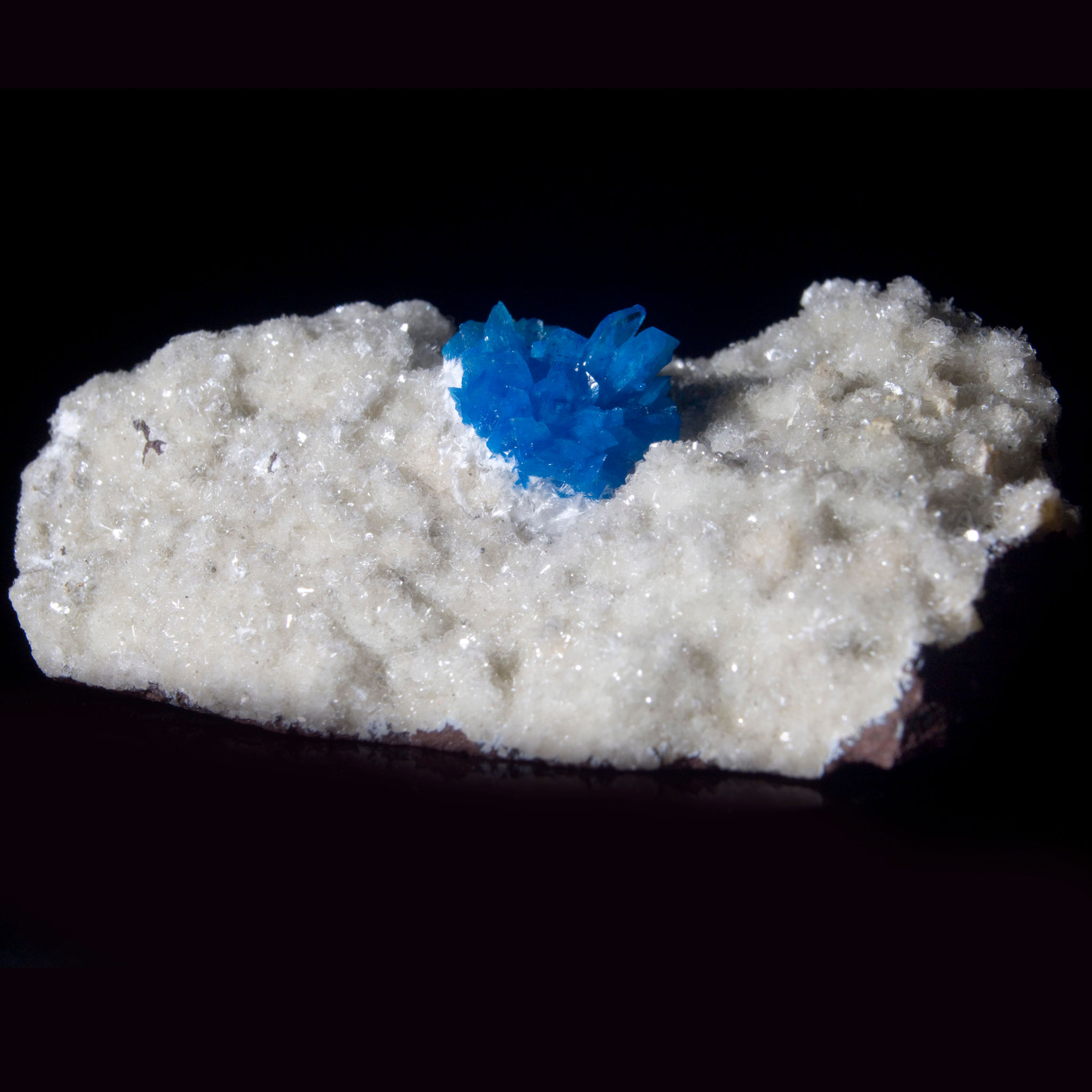 An aesthetically perfect miniature. A centrally located bright blue crystal of Cavansite featuring gem-transparent chisel-ter