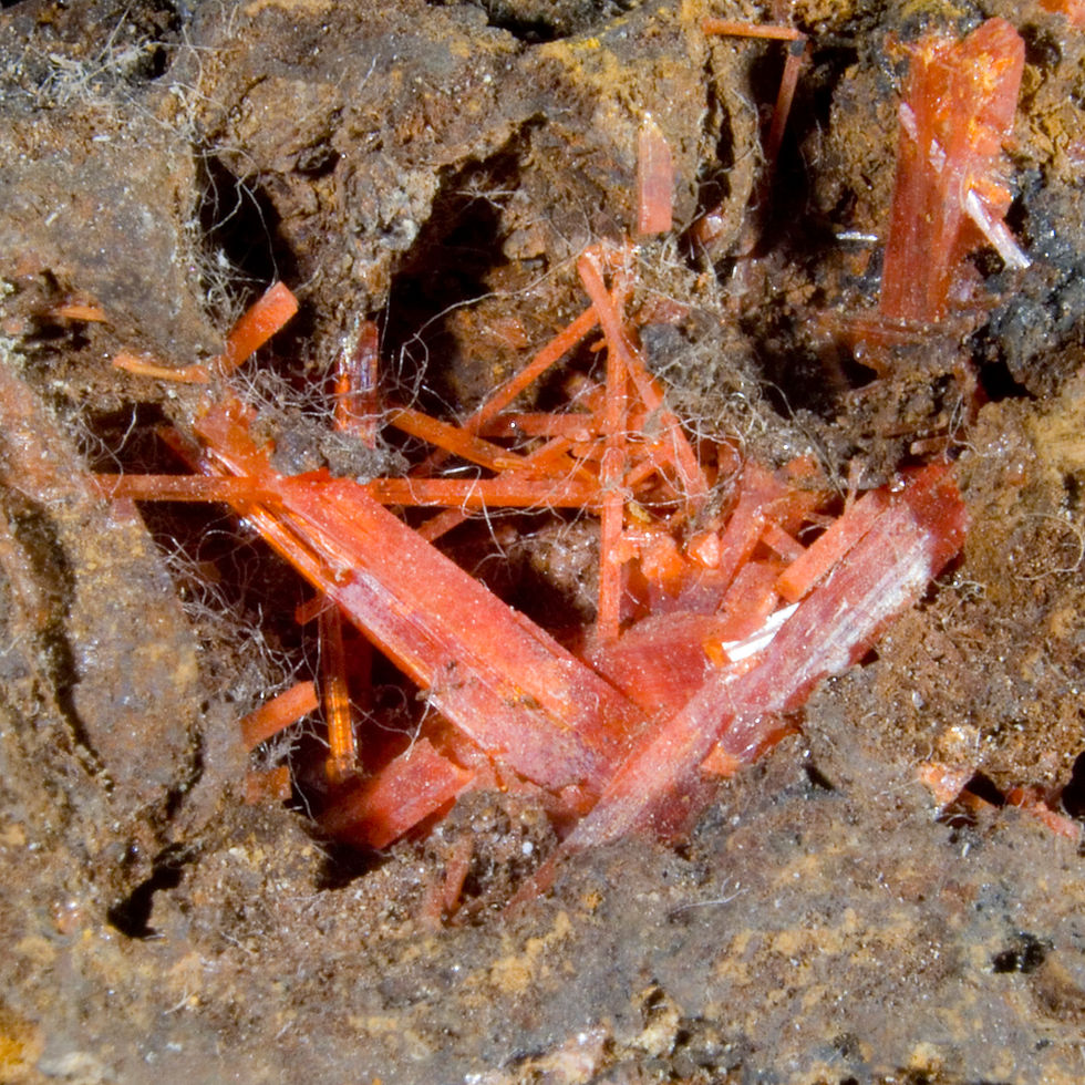 Crocoite - Adelaide Mine, Tasmania - Studio Mineralia Earth Art Gallery