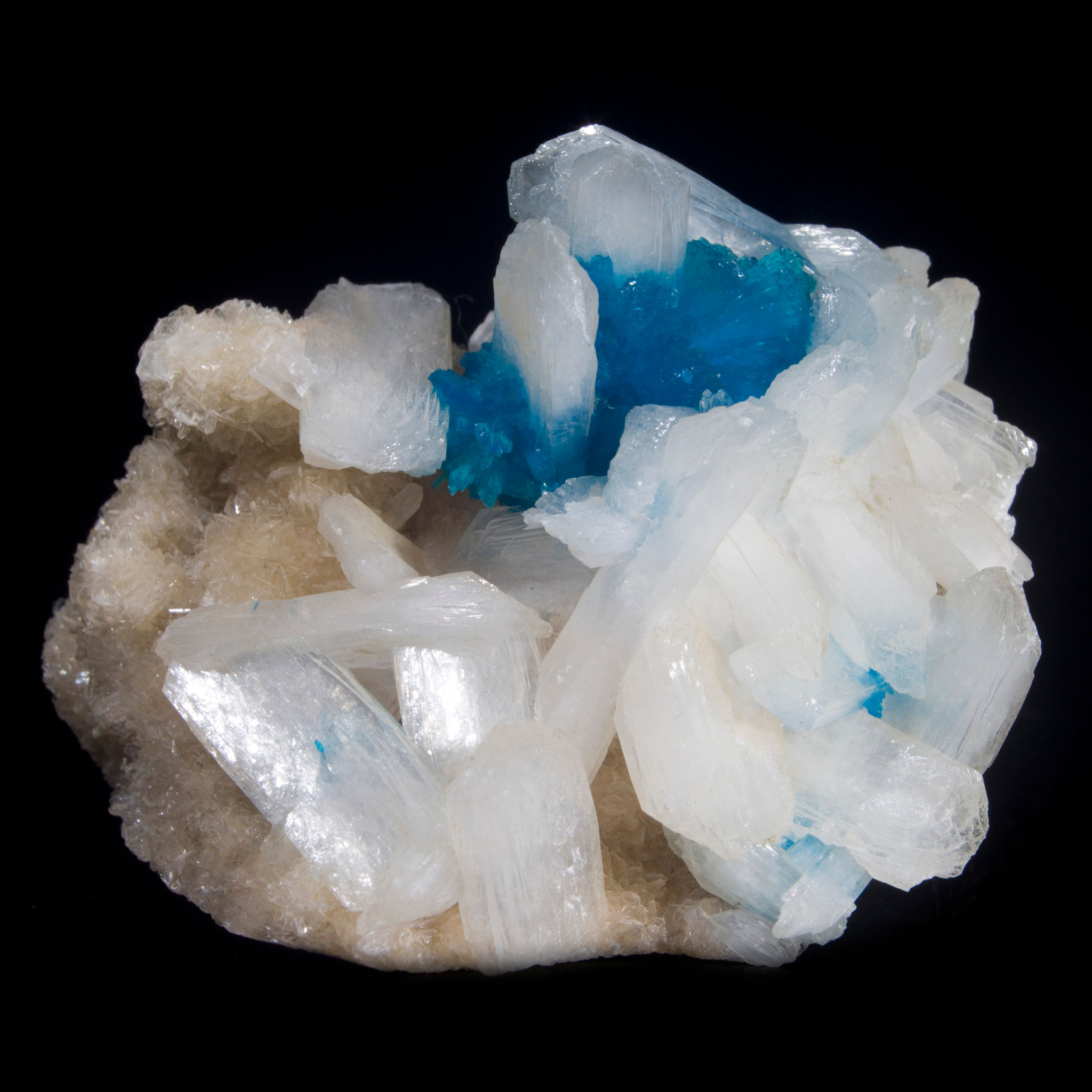 Cavansite embedded with multiple terminated crystals of Stilbite on Heulandite. Highly desirable among collectors.