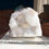 Thumbnail: The central crystal of Stilbite provides a pop of color in the icy clear cave of Apophyllite. Studio Mineralia