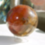 Thumbnail: Petrified Wood Sphere // Large