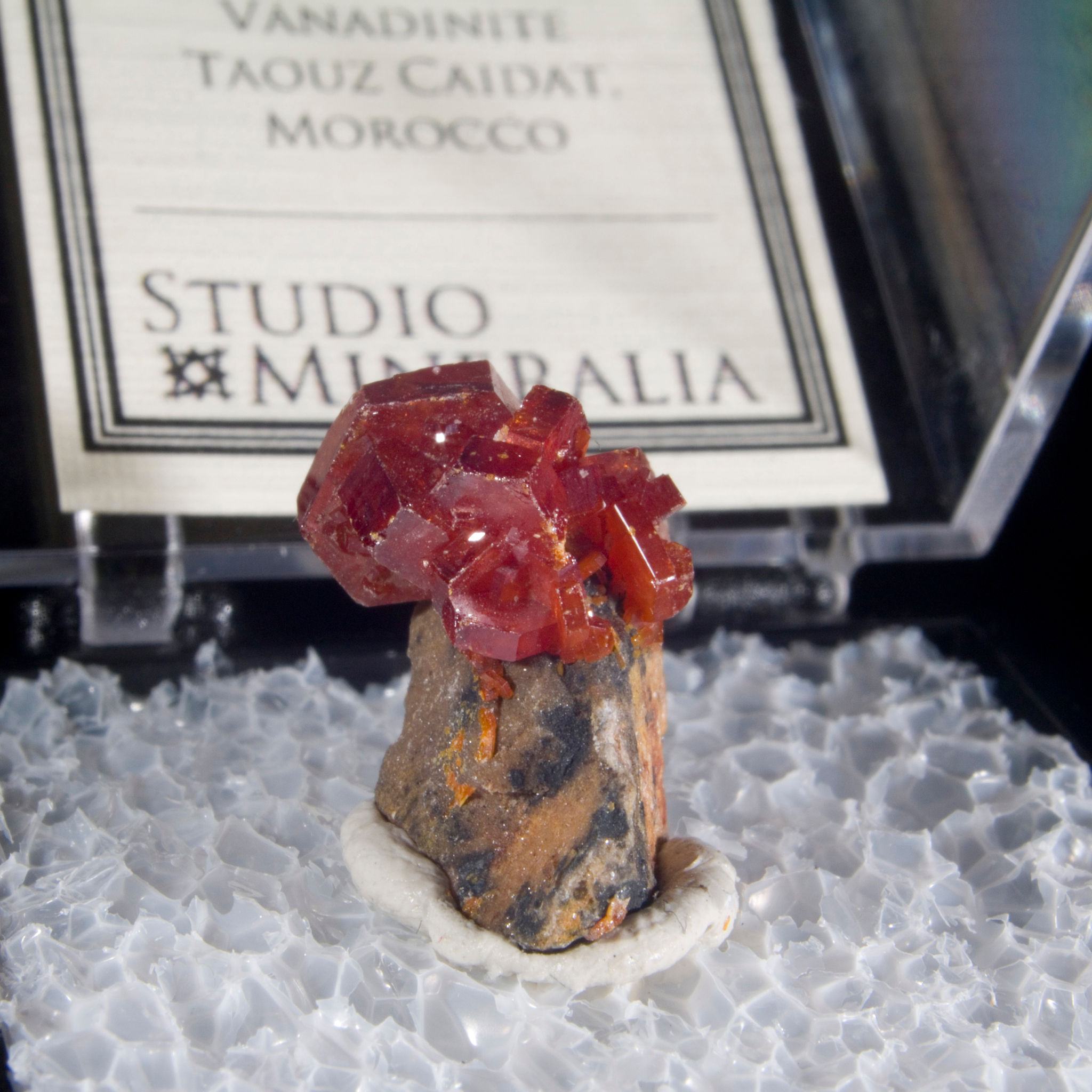 Vanadinite - Taouz Caidat, Morocco - Studio Mineralia Earth Art Gallery