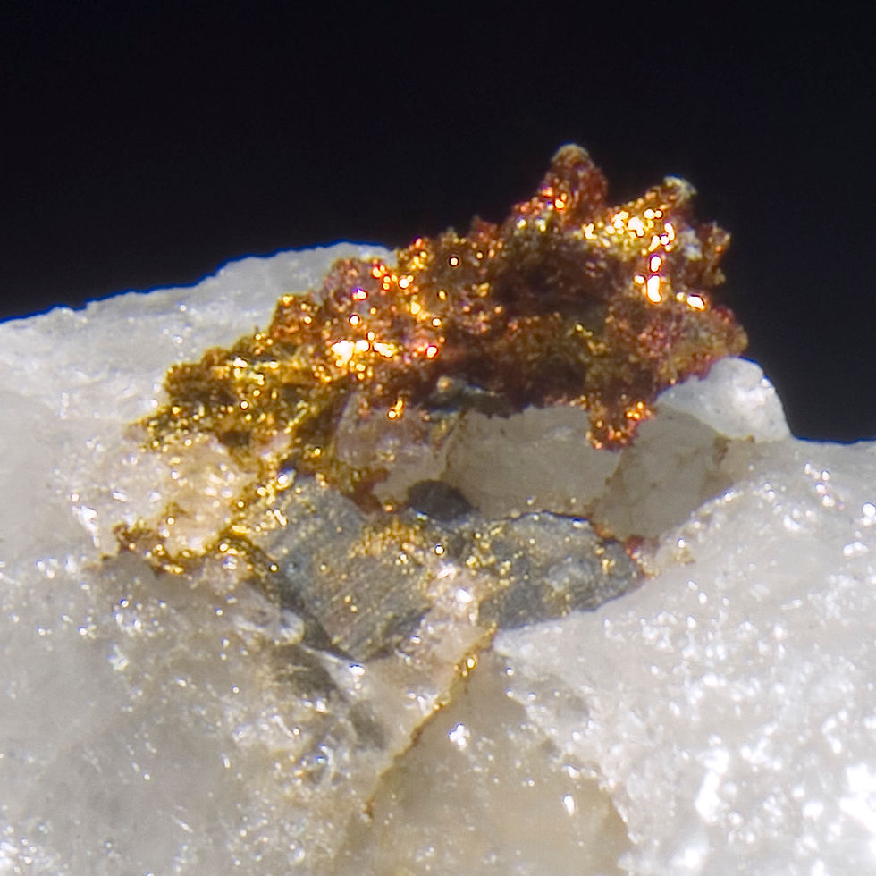 Thumbnail: Gold on Bull Quartz - Homestake Mine, South Dakota - Studio Mineralia Earth Art Gallery