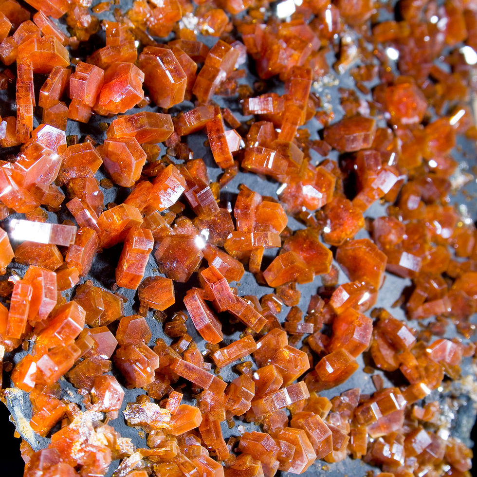 Thumbnail: Matte black Goethite provides the perfect contrast for a veritable wall of gemmy, bright red crystals of Vanadinite. The mine