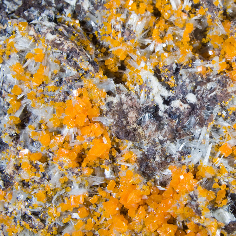 Thumbnail: Wulfenite and Barite - Xicheng Mine, China - Studio Mineralia Earth Art Gallery