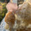 Thumbnail: Aesthetic Pink Fluorapatite on Matrix - La Morina, Columbia