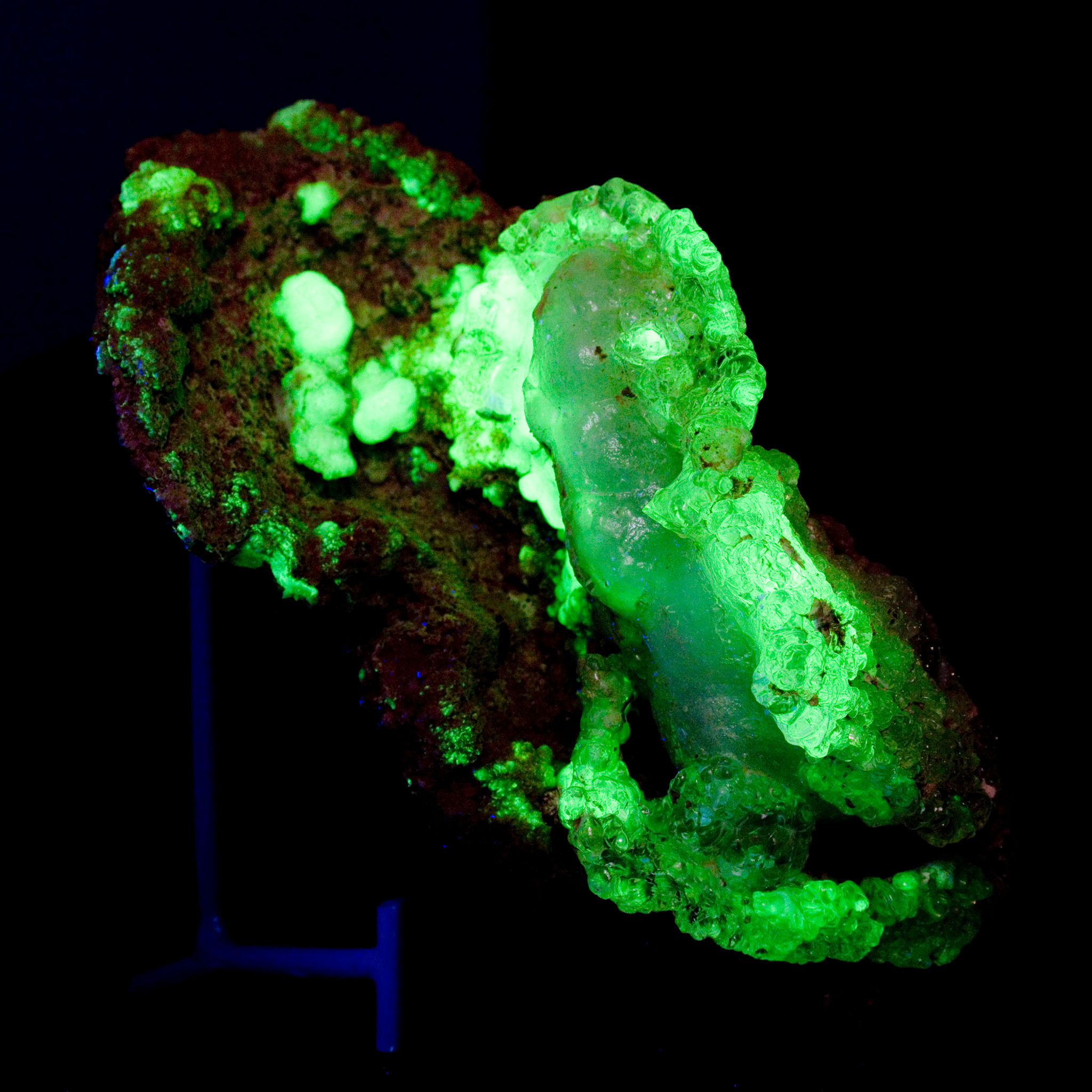 The Wave. Hyalite Opal - Zacatecas, Mexico - Studio Mineralia Earth Art Gallery