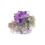 Thumbnail: Sceptered Amethyst Flower on Dolomite