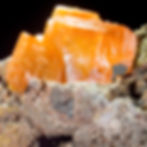 Thick bright orange crystals of Wulfenite on a dark, some would call brooding, matrix. D.R. Congo. Studio Mineralia