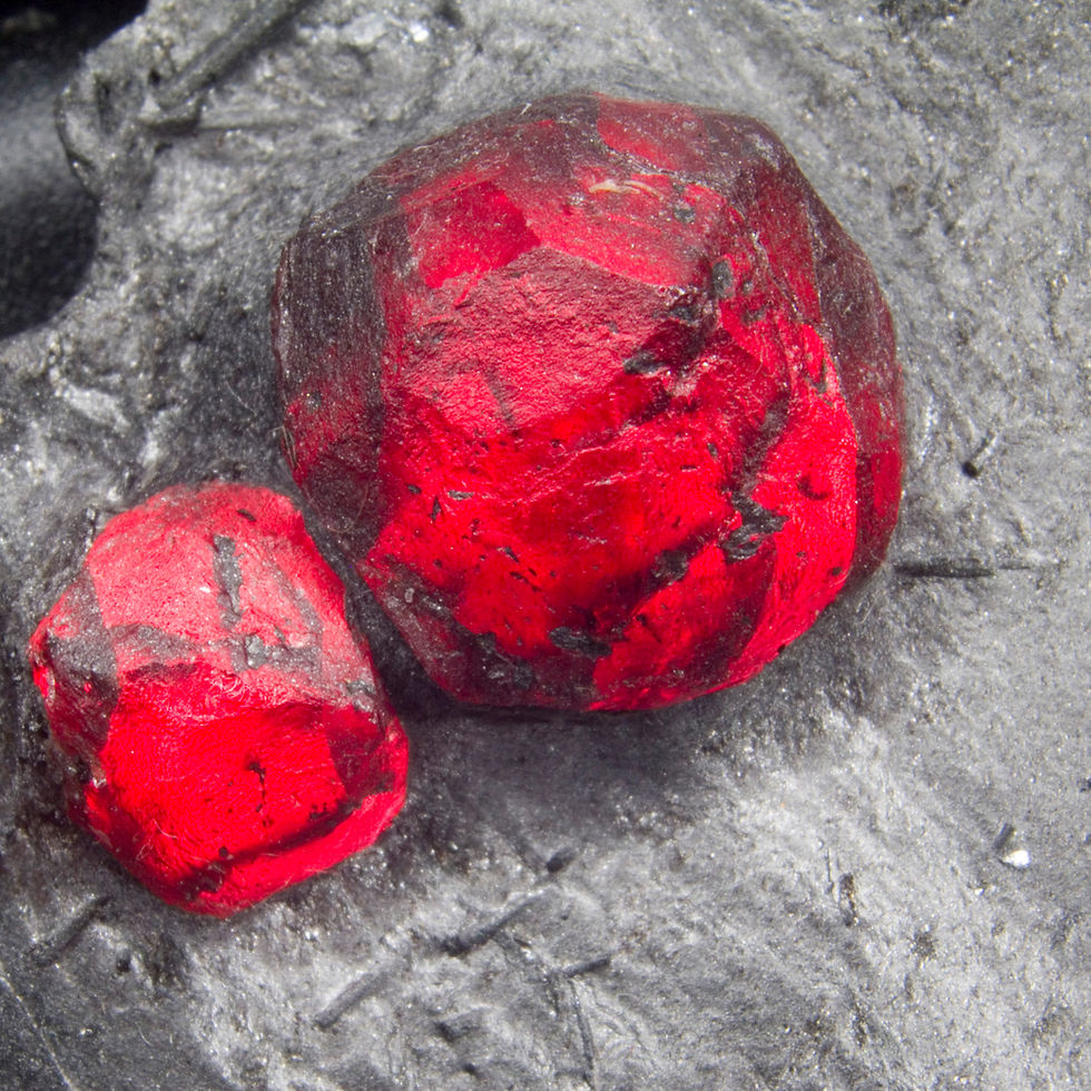 Thumbnail: Almandine-Pyrope Garnet in Graphite with Dravite Tourmaline. Red Embers Mine, MA - Studio Mineralia Earth Art Gallery