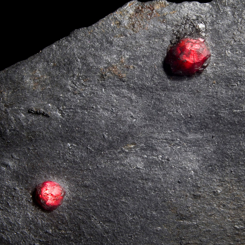 Almandine-Pyrope Garnets in Graphite with Dravite Tourmaline - Red Embers Mine, Massachusetts - Studio Mineralia