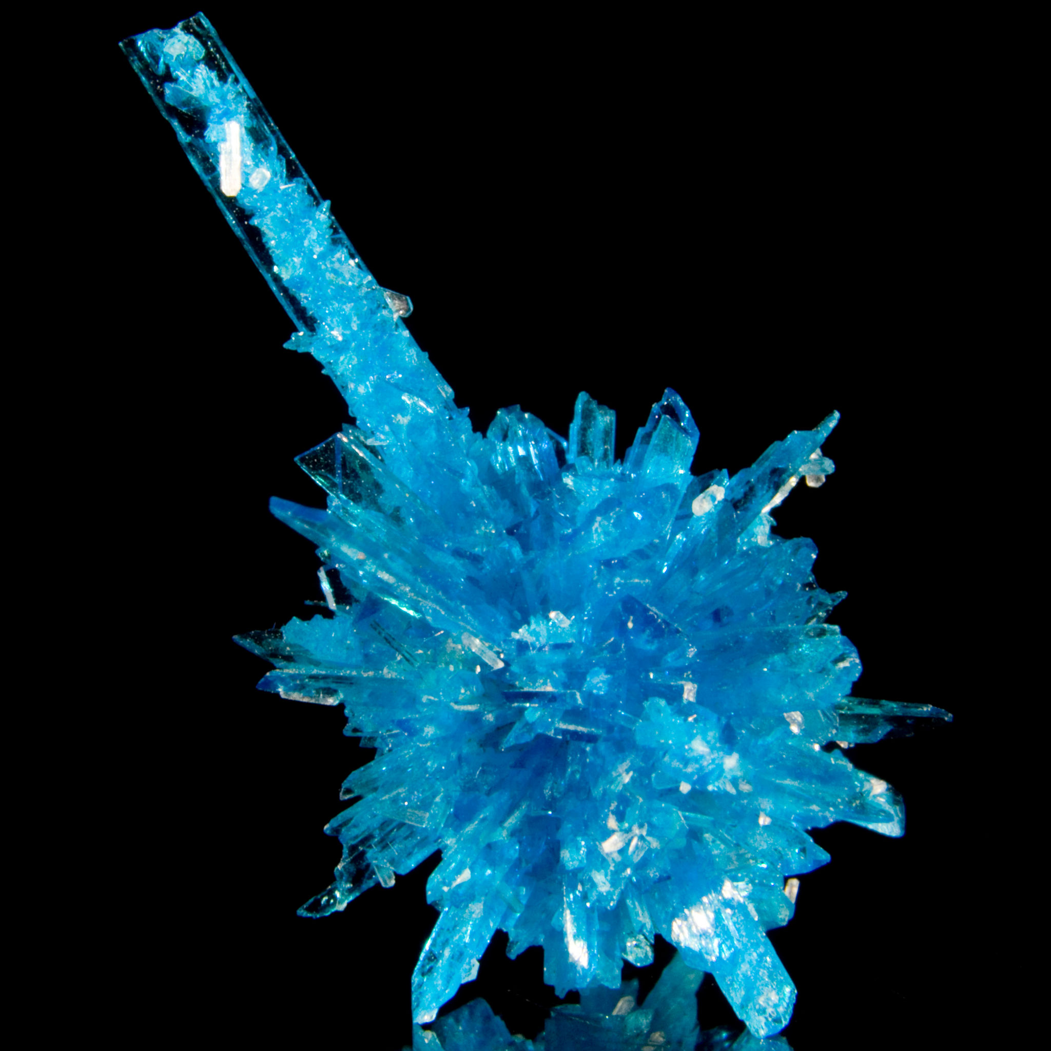 Pentagonite Floater Crystal with Stilbite