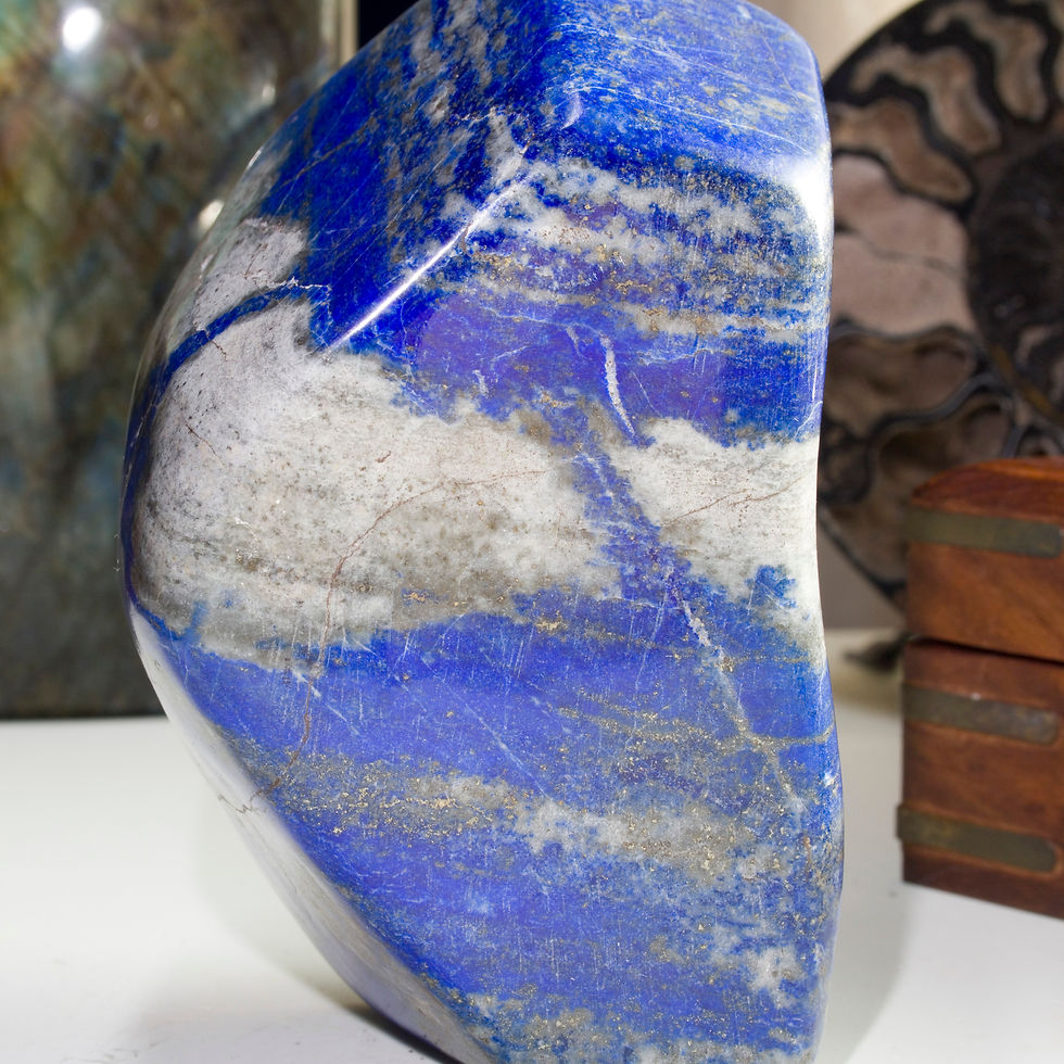 Polished Afghan Lapis Lazuli swirls with bands of Sodalite and sparkling golden Pyrite. Bright and beautiful natural decor. H