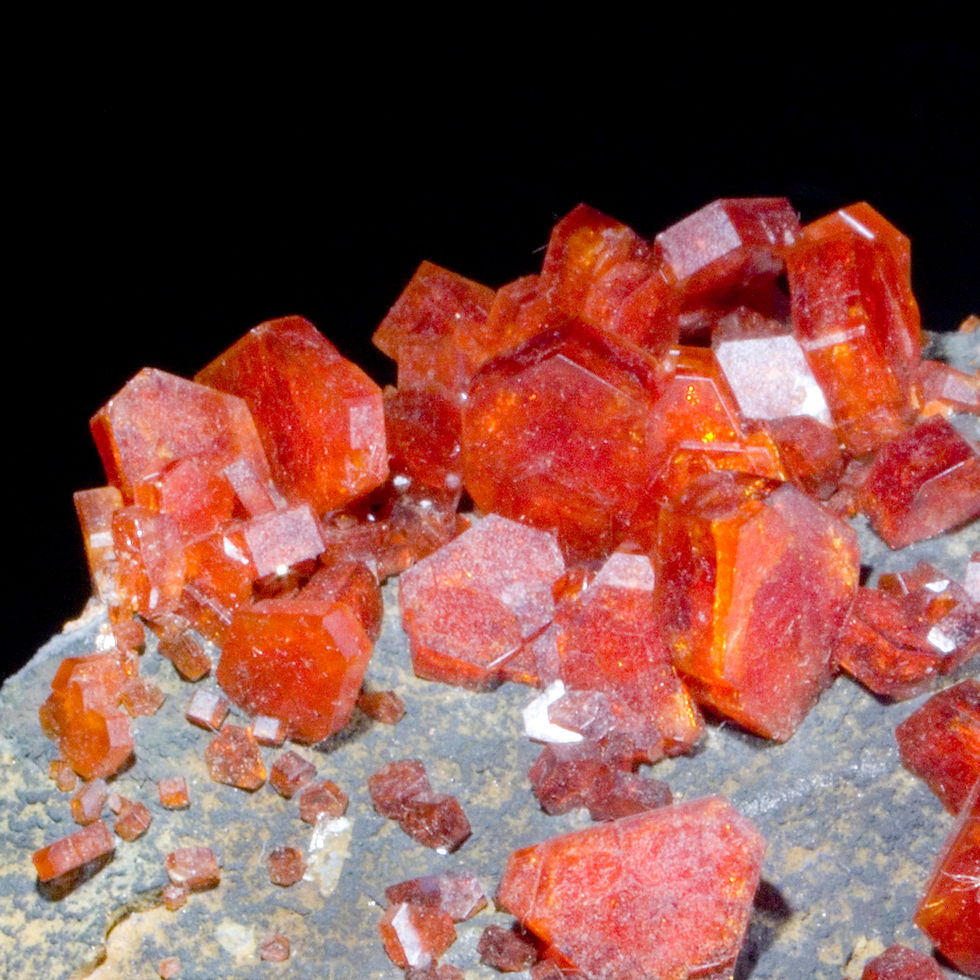 Thumbnail: Vanadinite on Black Goethite