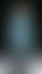 Charlie Constantinou SS26