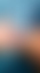 La Conexión Entre Huesos y Músculos: La Clave para una Vida Plena