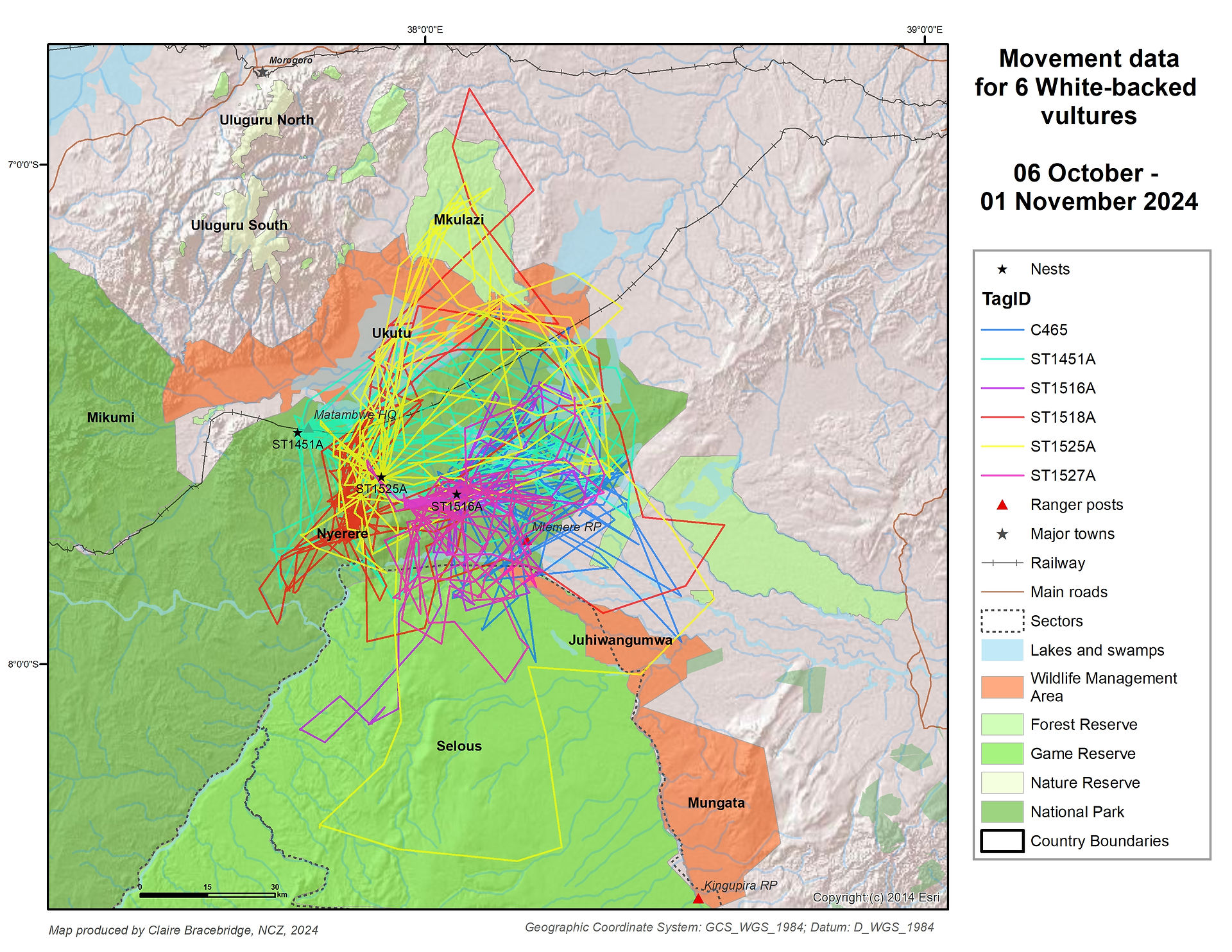 White-backed vulture movement maps in Selous-Nyerere