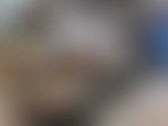 בלונים לברית במרכז