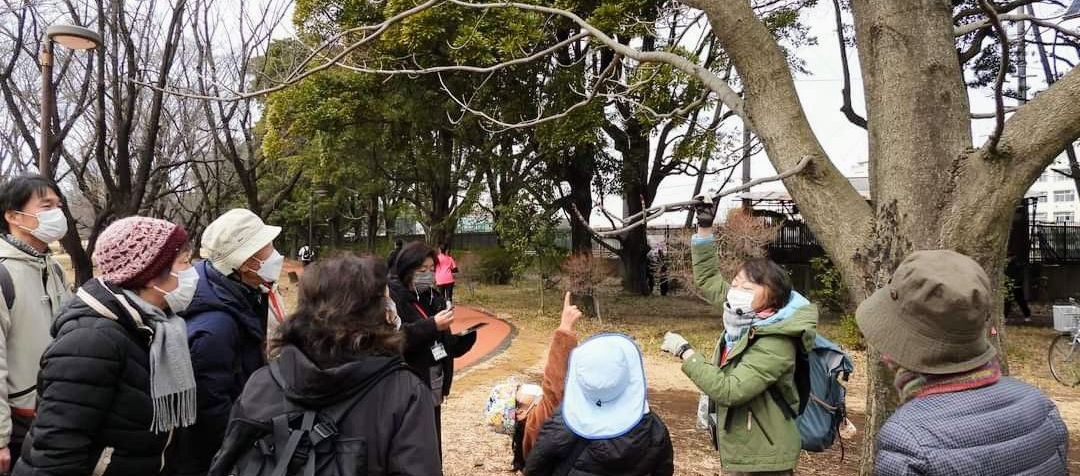 2022年2月19日和光樹林公園主催「いきもの観察会」