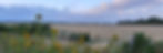 Das Niedermoor in der Hammeniederung. Eine Landschaft, die zu weiten Spaziergängen einlädt.