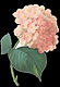 logo 1.jpg