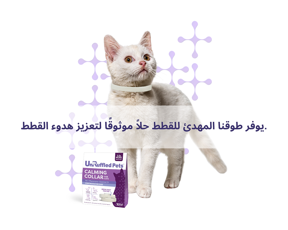 يوفر طوقنا المهدئ للقطط حلاً موثوقًا لتعزيز هدوء القطط.