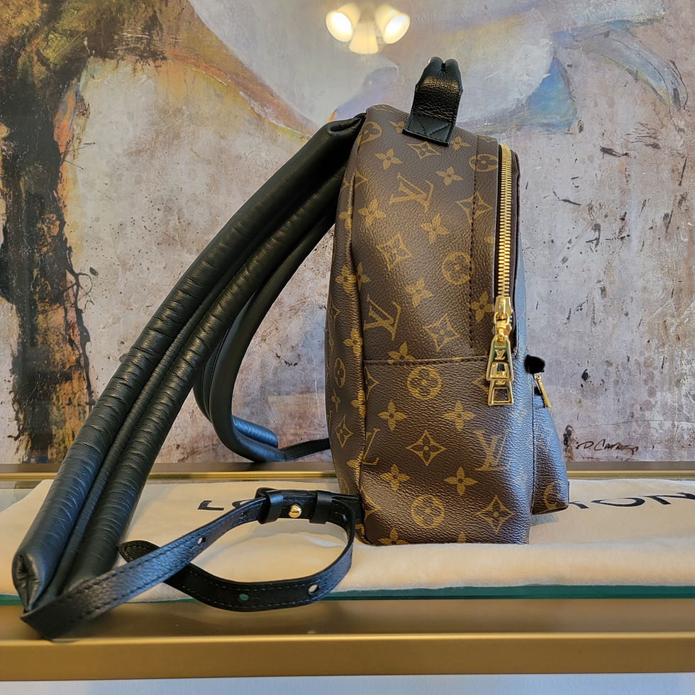 Thumbnail: Louis Vuitton Palm Springs Backpack PM Brown Monogram Canvas Black Leather 2022