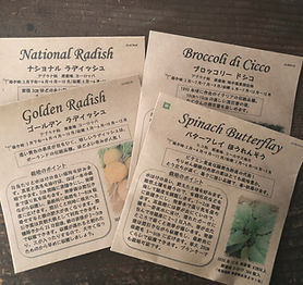 畑20210127.jpg