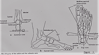 AJ & STJ Diagram (2).png