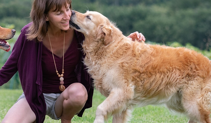 pension canine.jpg