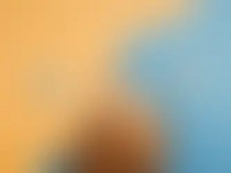 Les questions en Communication Animale