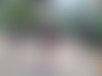 C A Boracea - Atividade no Cecco