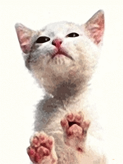 0022.gif