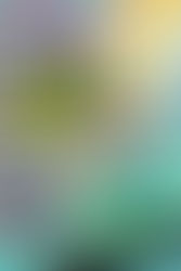 Quiz Night - 21st February 2022 - 8pm