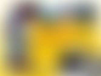 Bayliss Holidays and Day Trips Discount