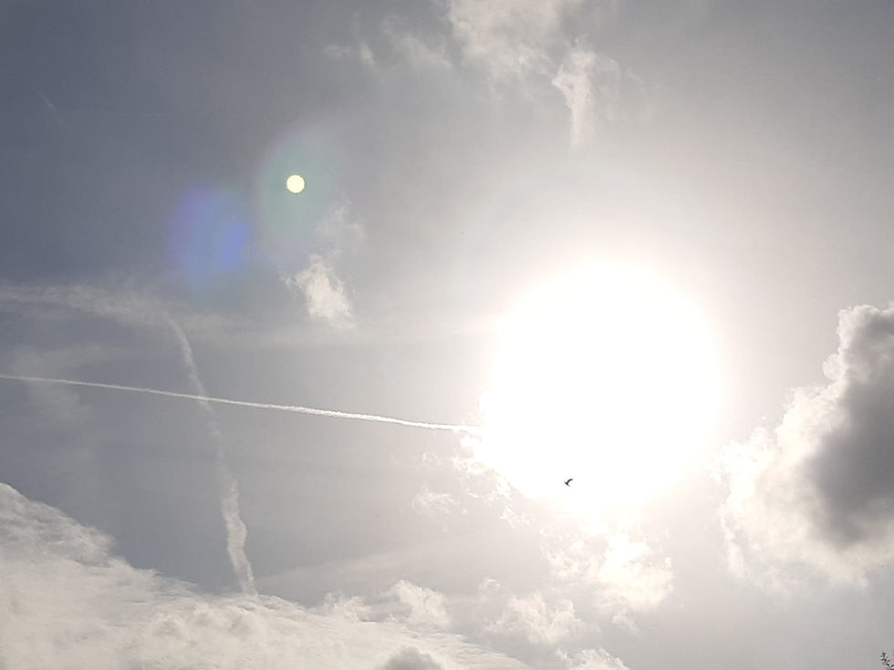 Zon.jpg