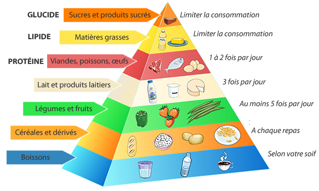 aliment 2.png