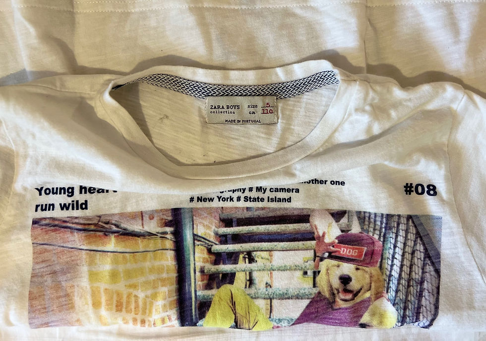 Miniatura: Camiseta Zara