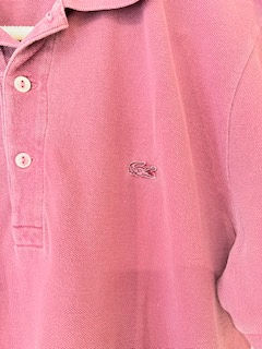 Miniatura: Polo Lacoste