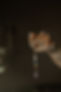 29_websize.jpg