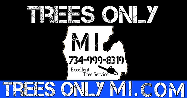 mitten title card 2.0.png