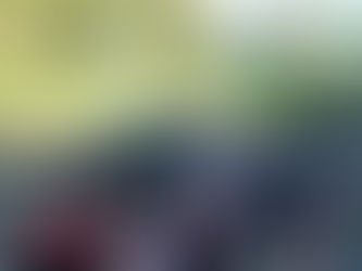 "TIKI" the Love Buggy!