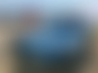 A very nice write up from "The Hawaii Admirer"