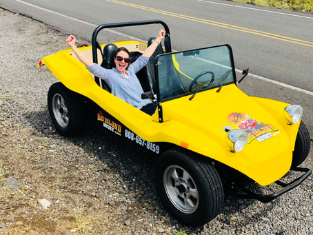 FREEDOM and FUN