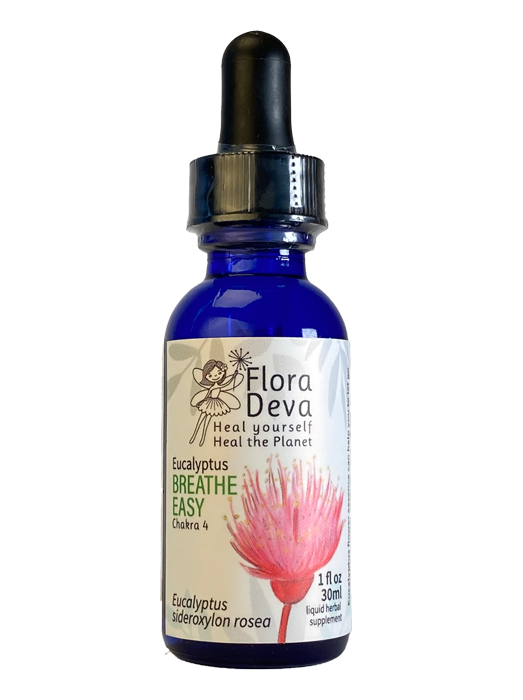 Eucalyptus Flower Essence