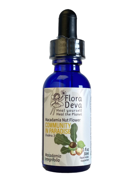 Macadamia Nut Flower Essence