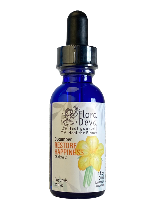 Cucumber Flower Essence