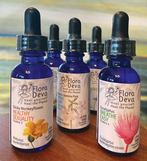 Collection-Flower-Essences